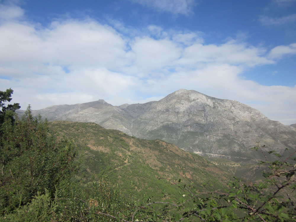 Subida al Castaño Santo (Istán) -Trekking/BTT/Carrera montaña - Actividad CEM