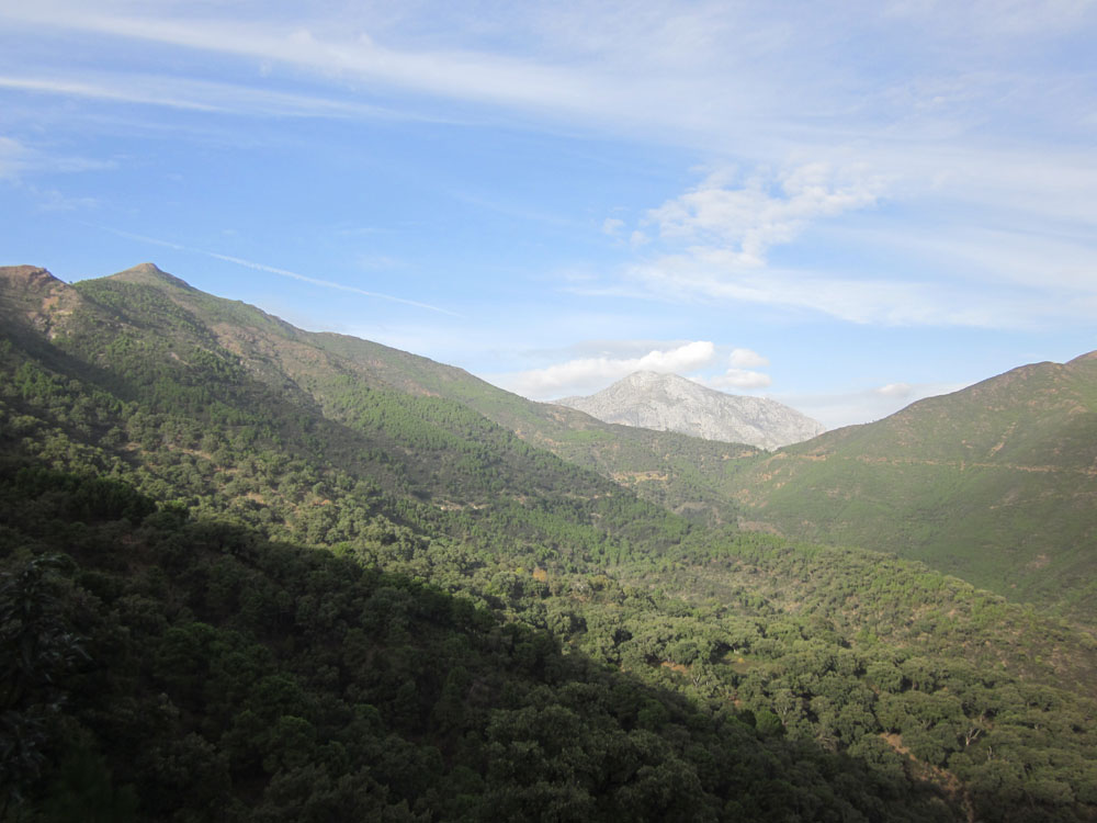 Subida al Castaño Santo (Istán) -Trekking/BTT/Carrera montaña -  Actividad CEM