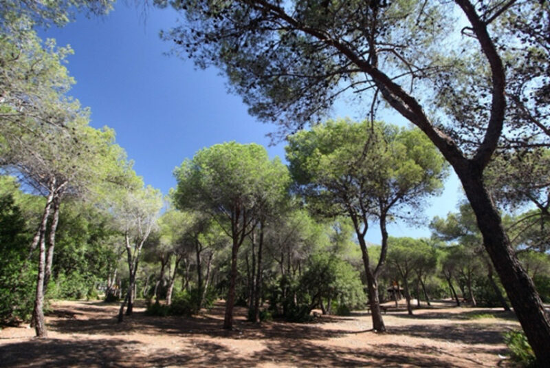 Circuito I Carrera de Marcha Nórdica ciudad de Marbella 2022 Circuito I Carrera de Marcha Nórdica ciudad de Marbella 2022